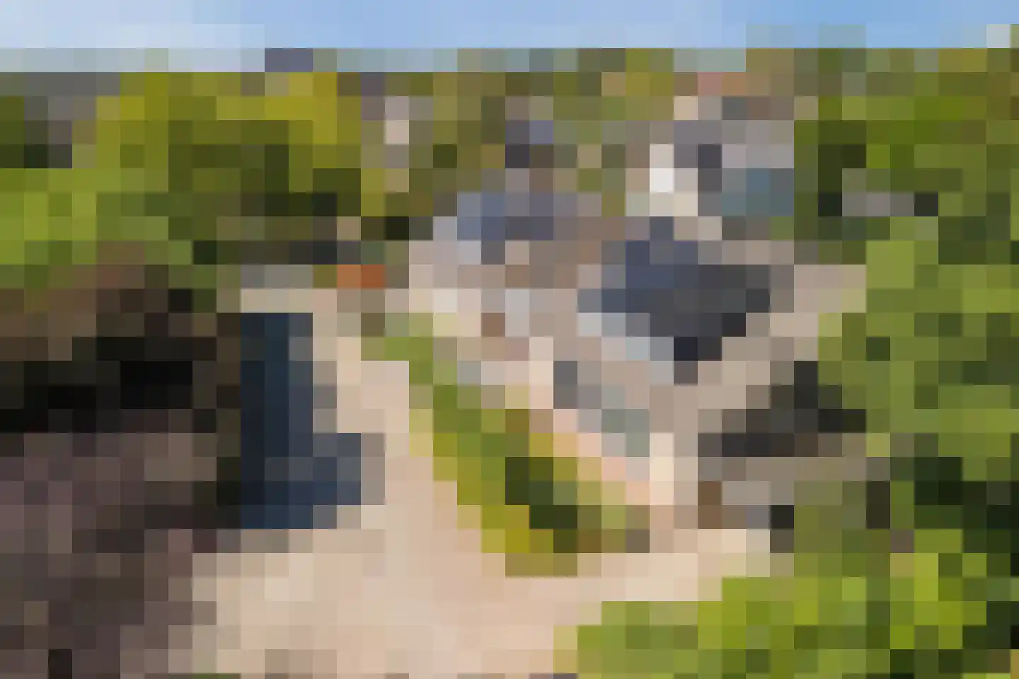 Fruitplein 7 Beneden-Leeuwen thumbnail 6