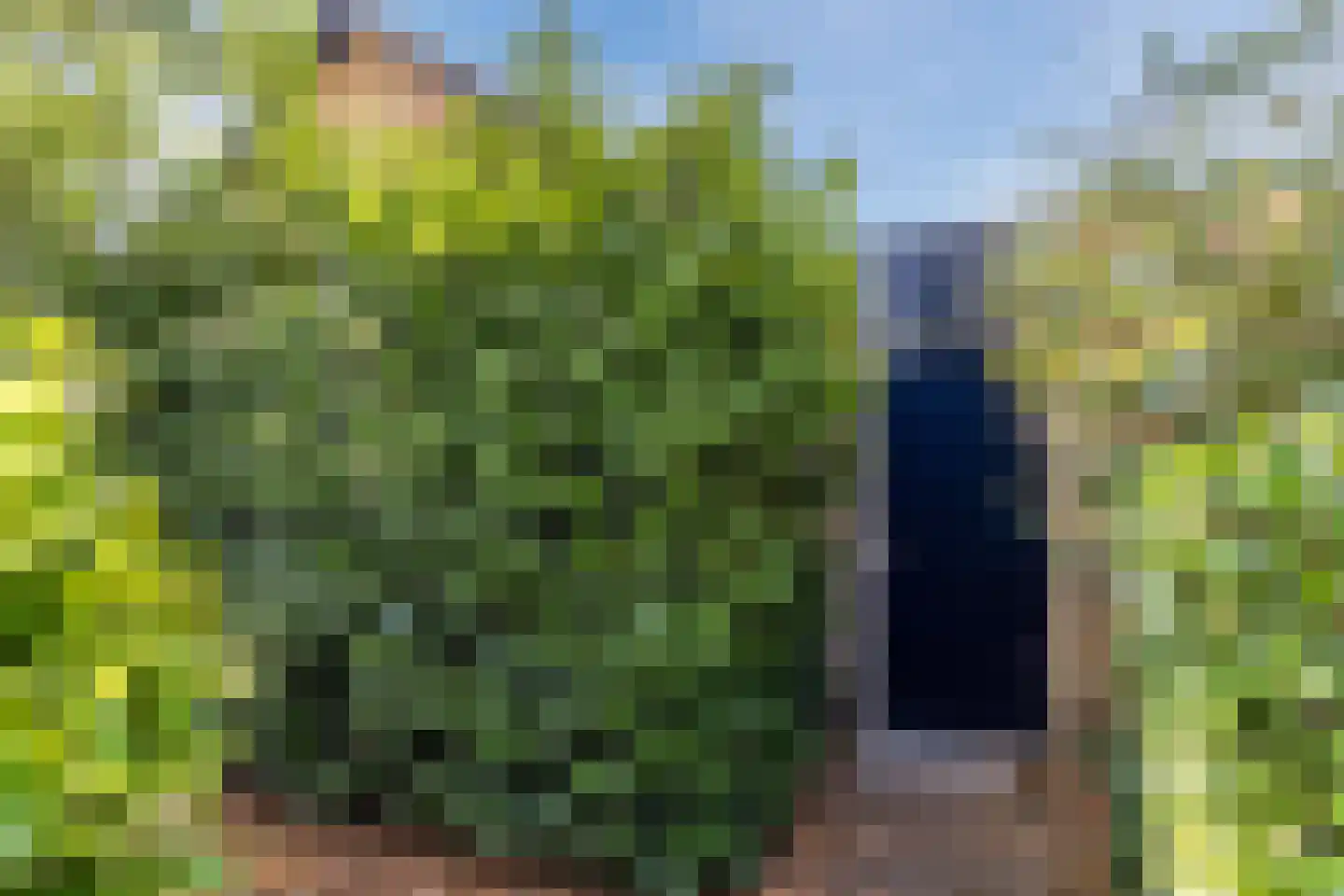 Fruitplein 7 Beneden-Leeuwen thumbnail 60