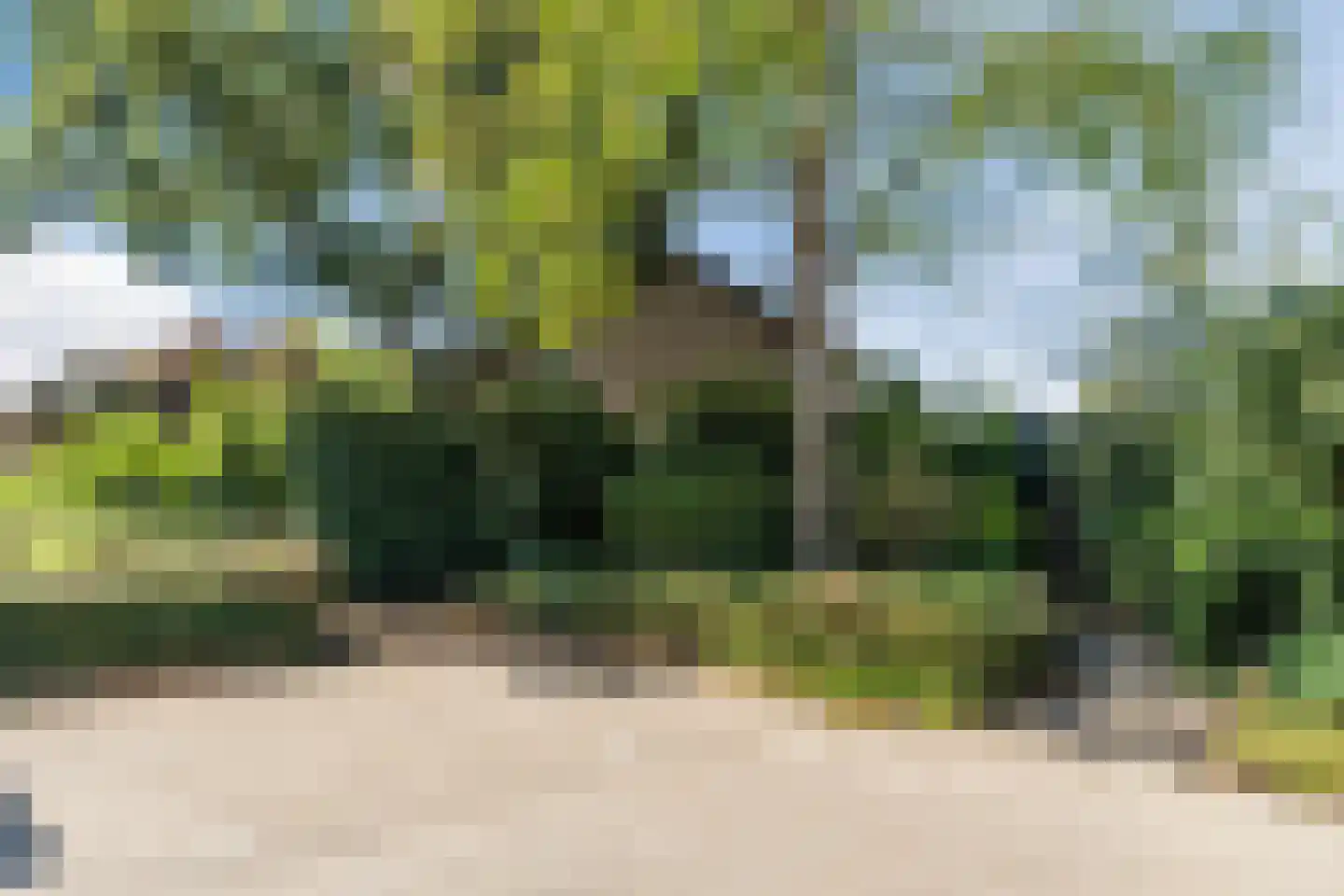 Fruitplein 7 Beneden-Leeuwen thumbnail 61