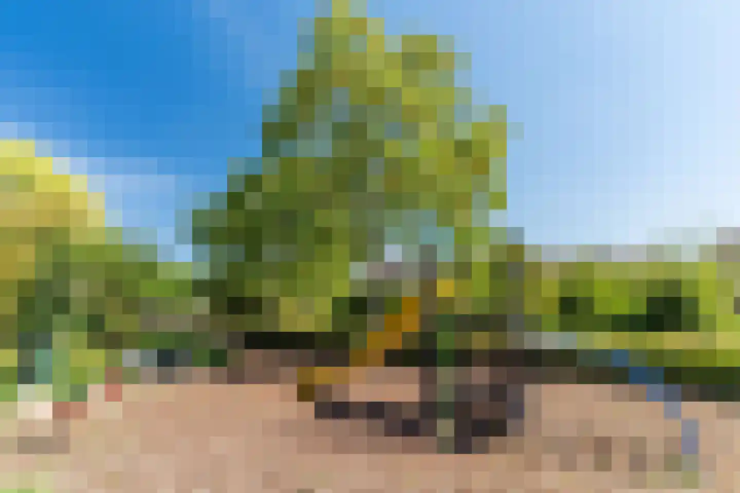 Fruitplein 7 Beneden-Leeuwen thumbnail 62