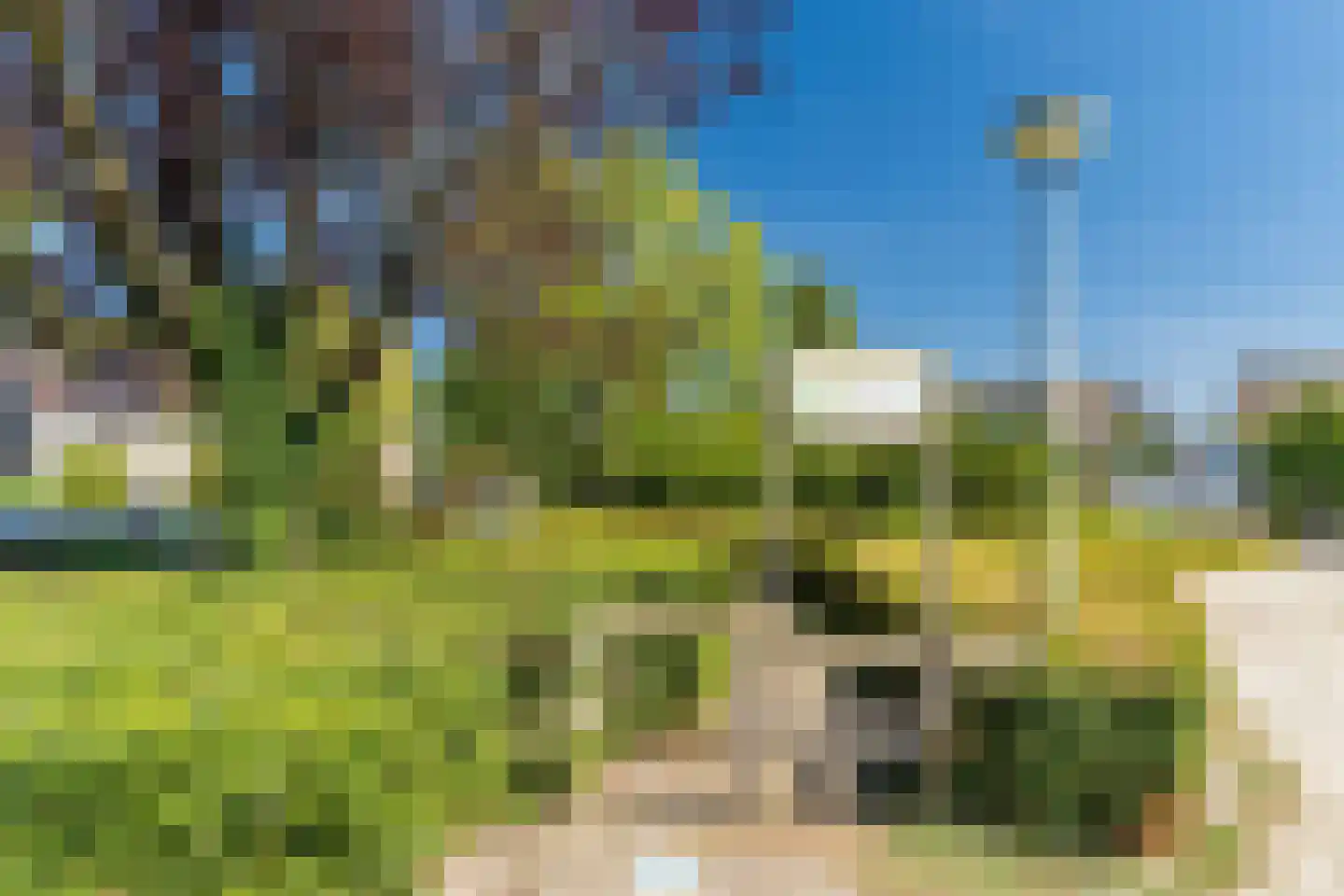Fruitplein 7 Beneden-Leeuwen thumbnail 63