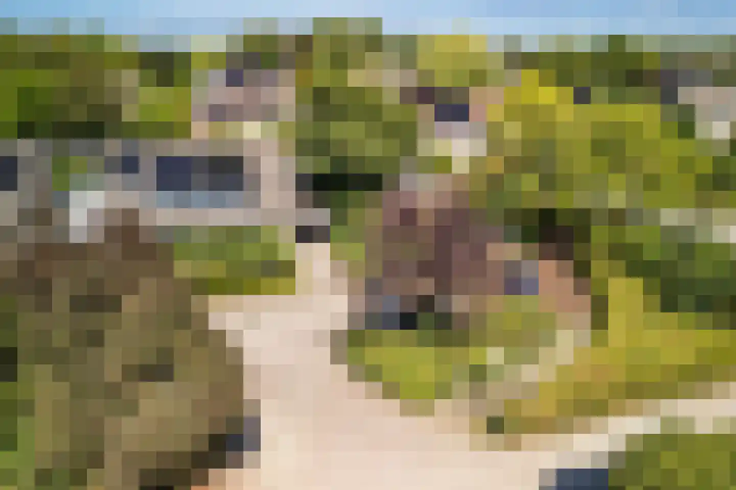 Fruitplein 7 Beneden-Leeuwen thumbnail 7