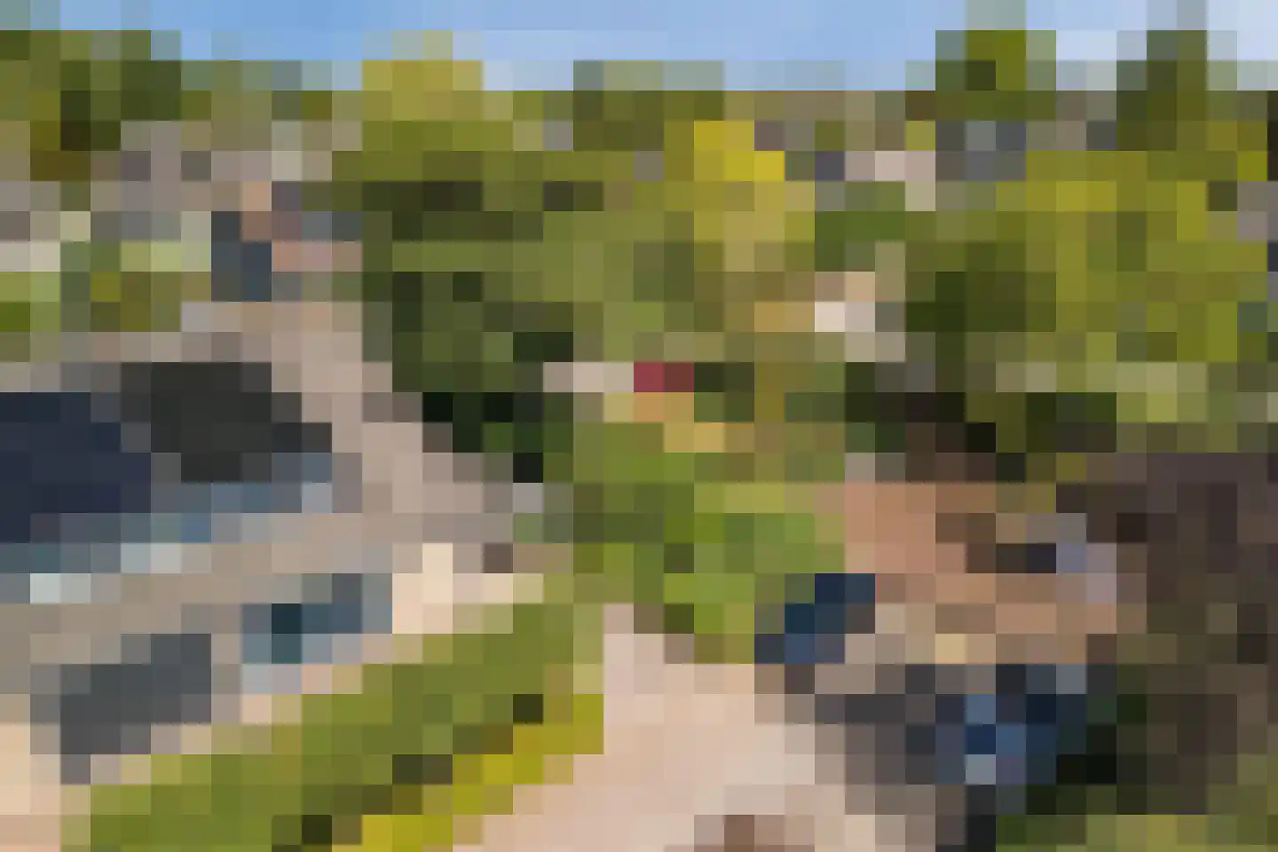 Fruitplein 7 Beneden-Leeuwen thumbnail 8