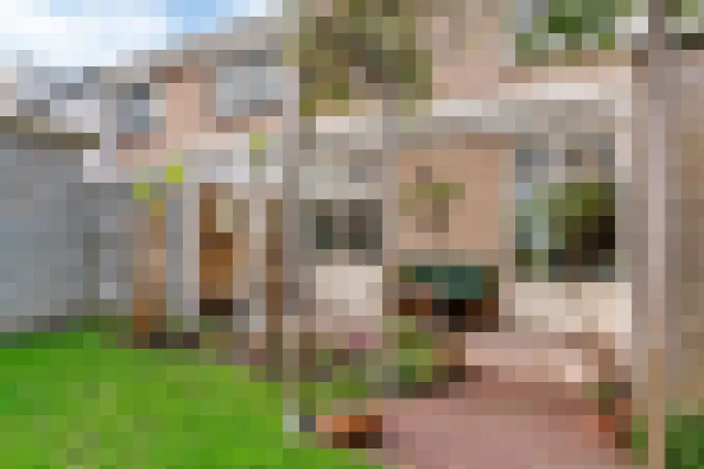 Fruitplein 8 Beneden-Leeuwen thumbnail 25