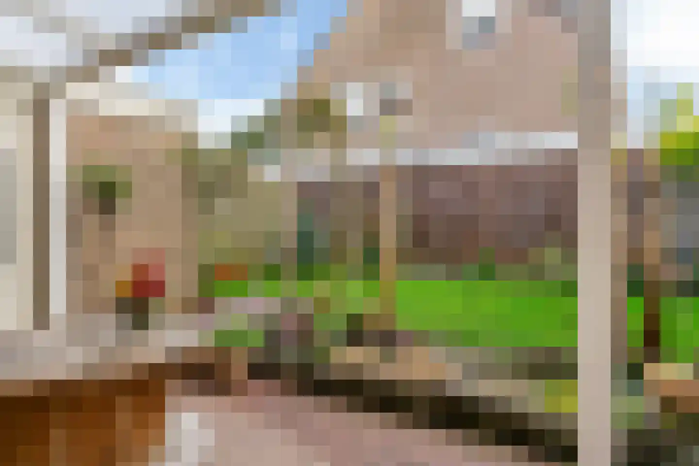 Fruitplein 8 Beneden-Leeuwen thumbnail 26