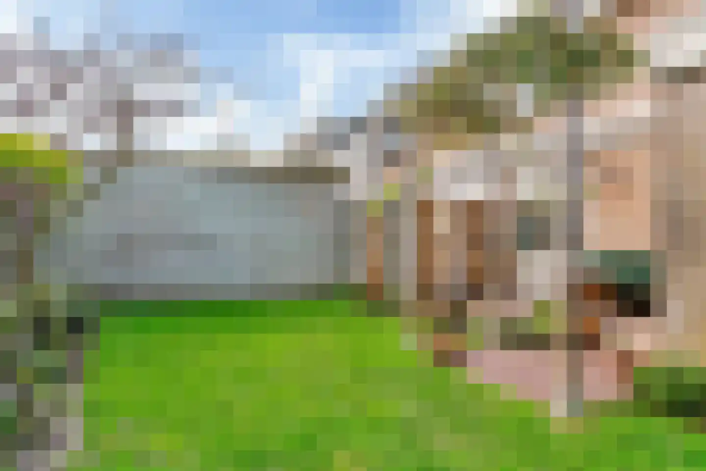 Fruitplein 8 Beneden-Leeuwen thumbnail 27