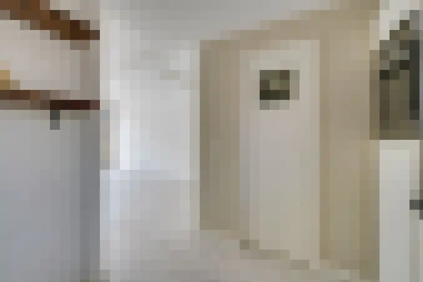 Fruitstraat 1 Zuidoostbeemster thumbnail 24