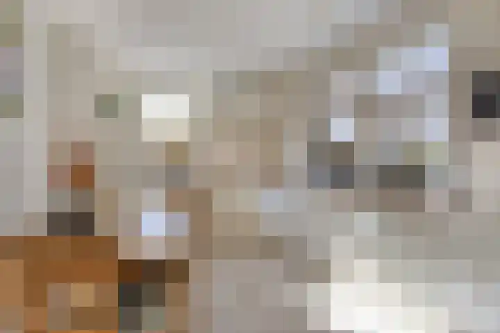 Fruitstraat 26 Kesteren thumbnail 14