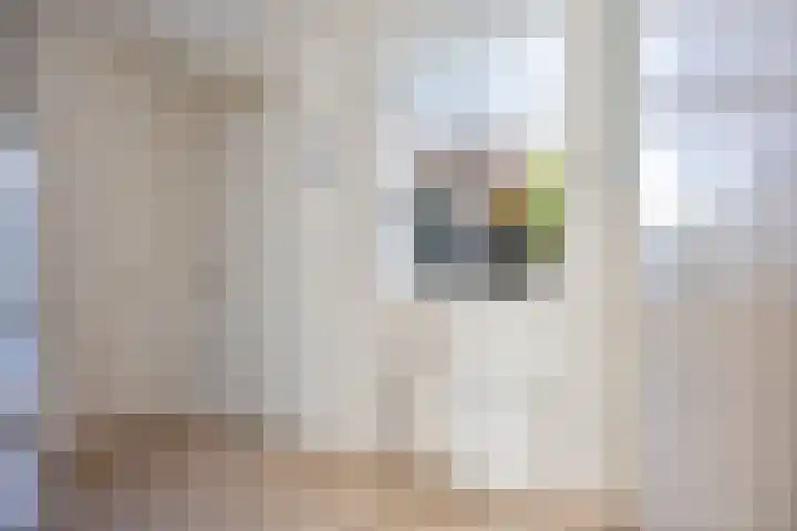 Fruitstraat 26 Kesteren thumbnail 19