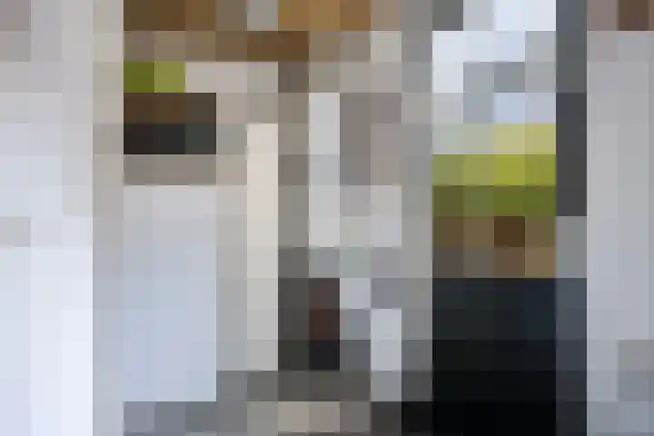 Fruitstraat 26 Kesteren thumbnail 21