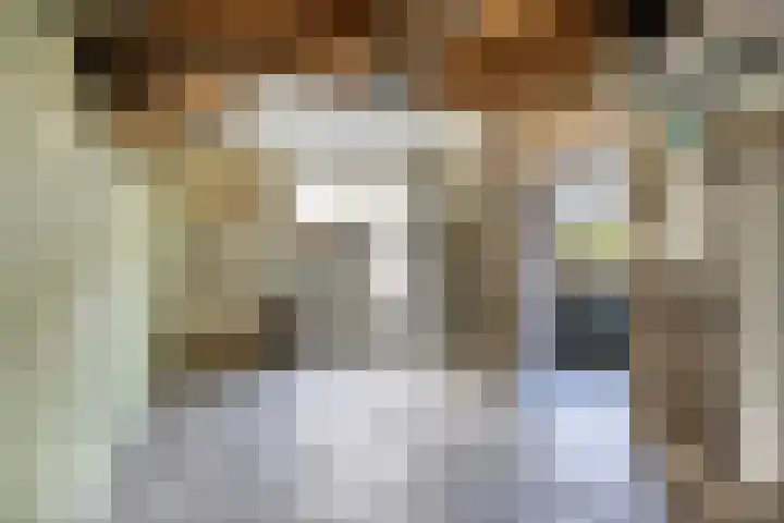 Fruitstraat 26 Kesteren thumbnail 24