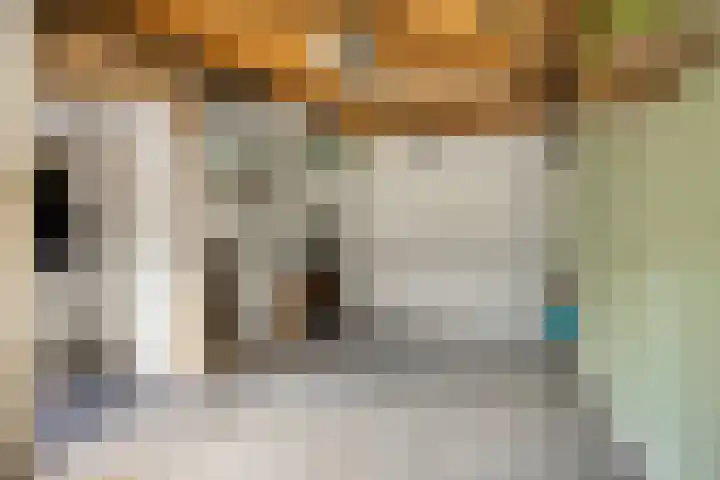 Fruitstraat 26 Kesteren thumbnail 25