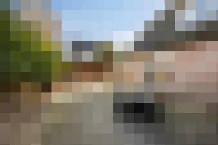 Fruitstraat 26 Kesteren thumbnail 48