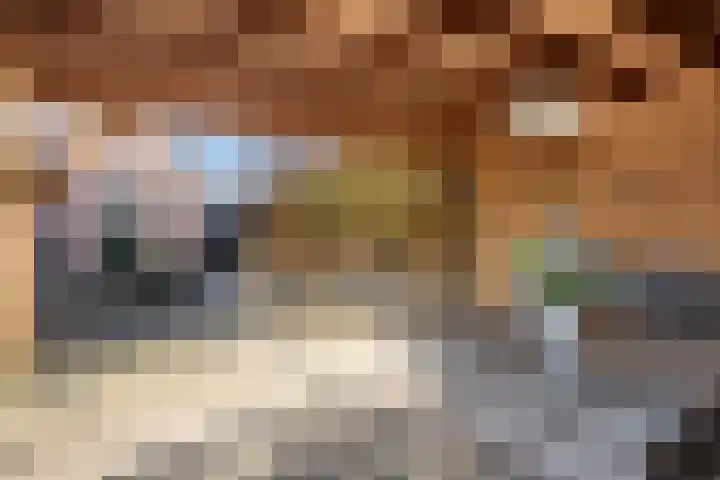Fruitstraat 26 Kesteren thumbnail 52