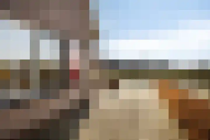 Fruitstraat 26 Kesteren thumbnail 56