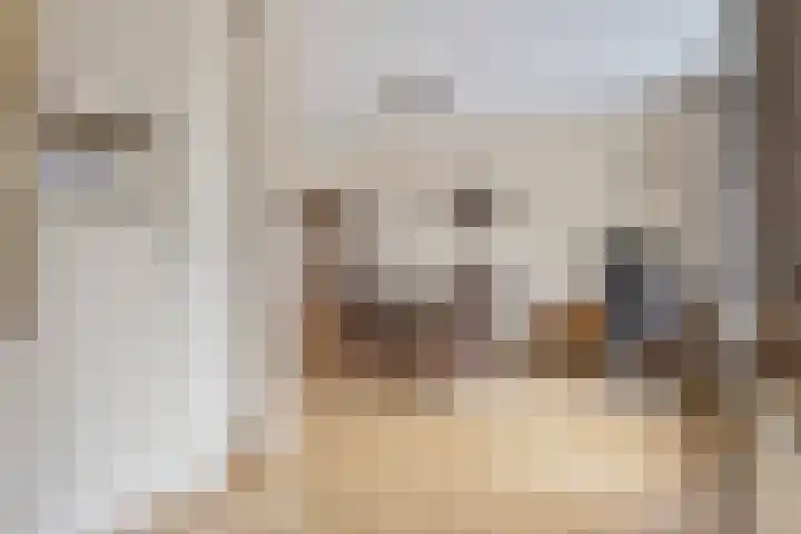 Fruitstraat 42 a Kesteren thumbnail 10