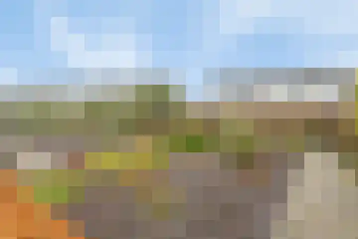 Fruitstraat 42 a Kesteren thumbnail 36