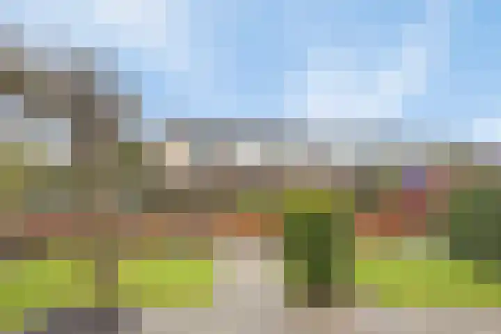 Fruitstraat 42 a Kesteren thumbnail 40