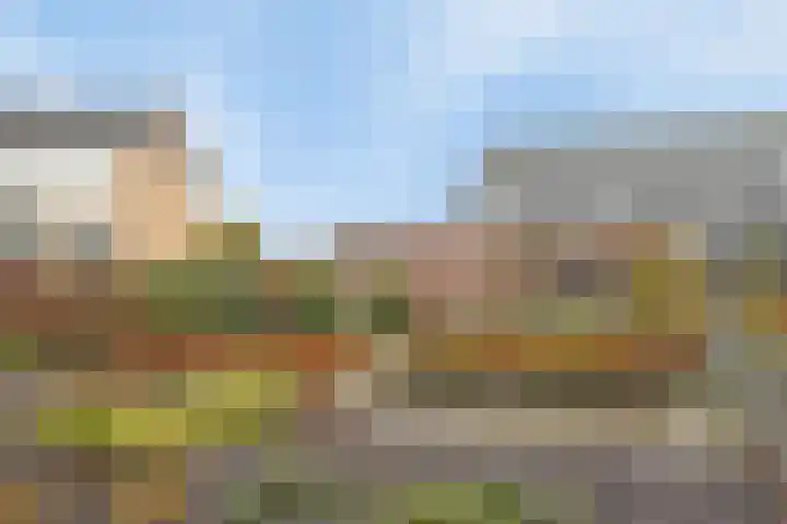 Fruitstraat 42 a Kesteren thumbnail 41