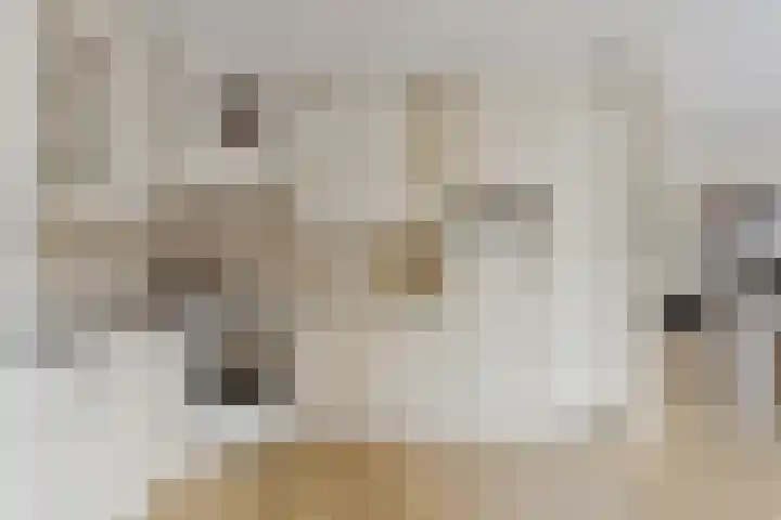 Fruitstraat 42 a Kesteren thumbnail 9