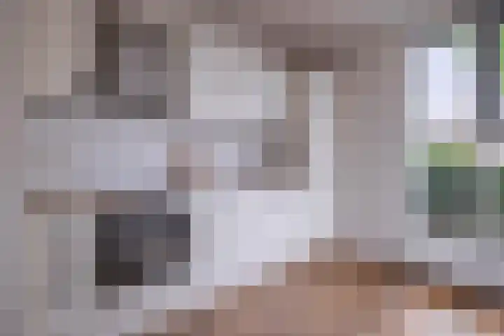 Fruittelerserf 17 Arnhem thumbnail 13