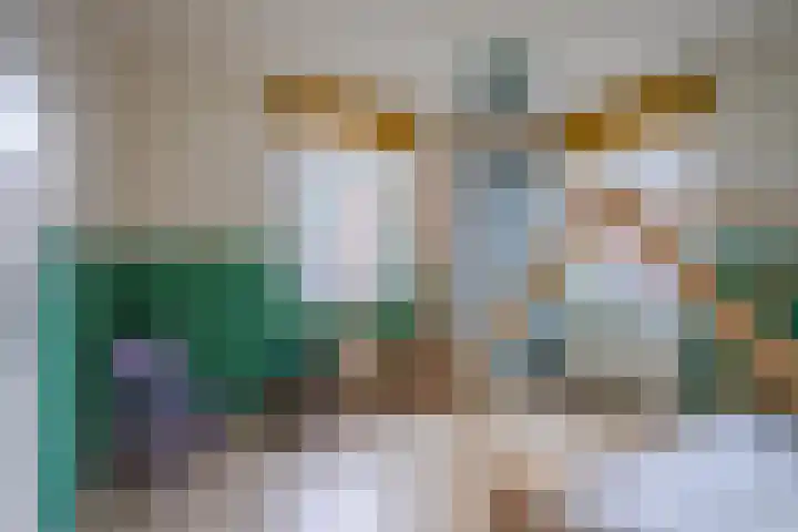 Fruittelerserf 17 Arnhem thumbnail 18