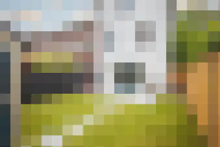 Fruittelerserf 17 Arnhem thumbnail 27