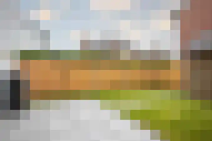Fruittelerserf 17 Arnhem thumbnail 28