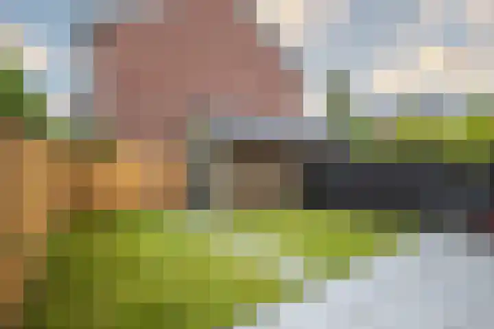 Fruittelerserf 17 Arnhem thumbnail 29