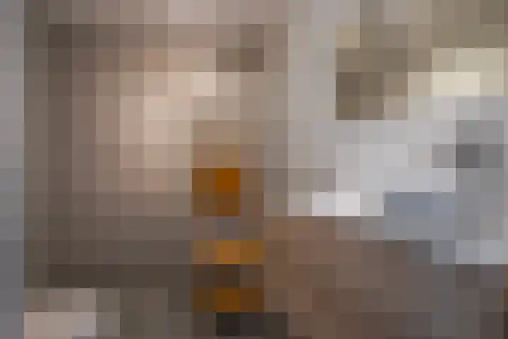 Fruittelerserf 17 Arnhem thumbnail 4