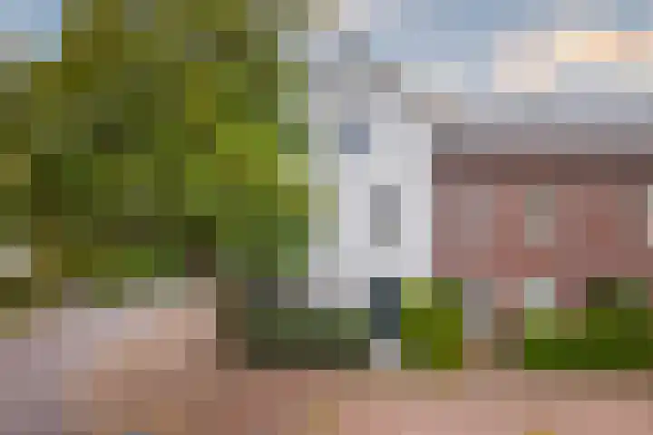 Fruittelerserf 17 Arnhem thumbnail 5