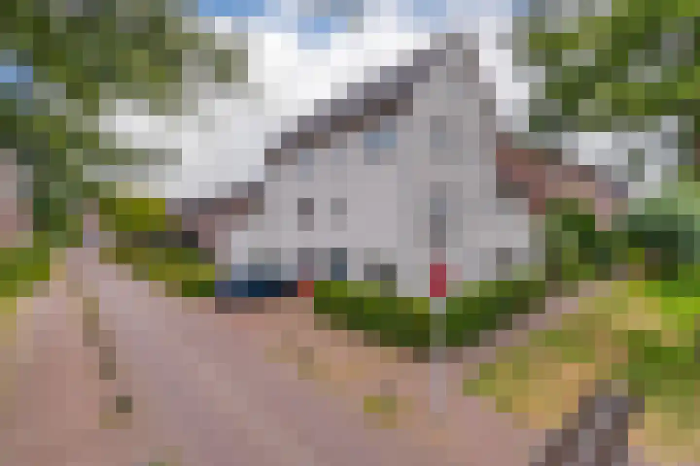 Fruittelerserf 18 in Arnhem