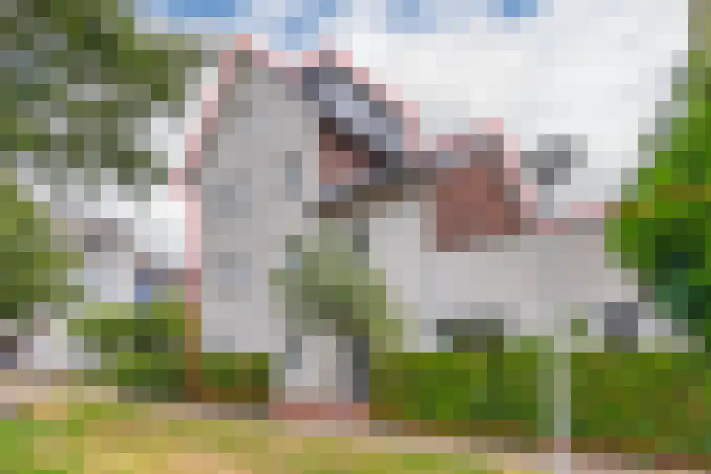 Fruittelerserf 18 Arnhem