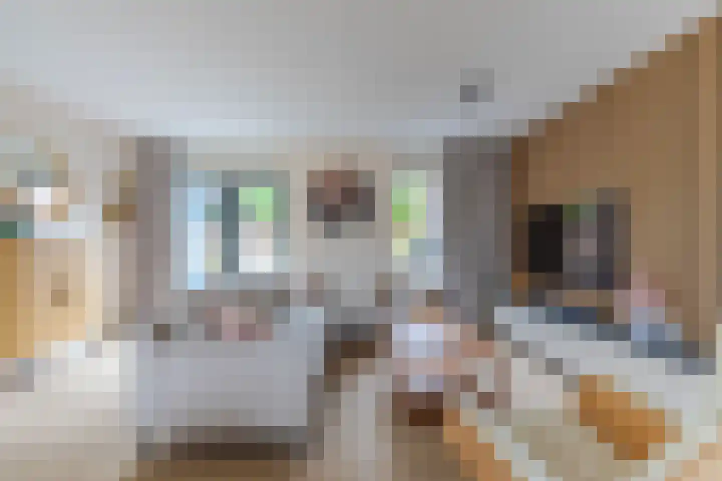Fruittelerserf 18 Arnhem thumbnail 13