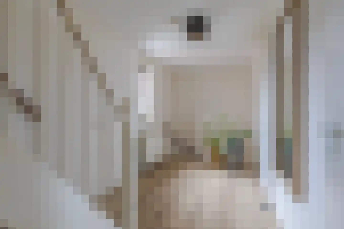 Fruittelerserf 18 Arnhem thumbnail 16