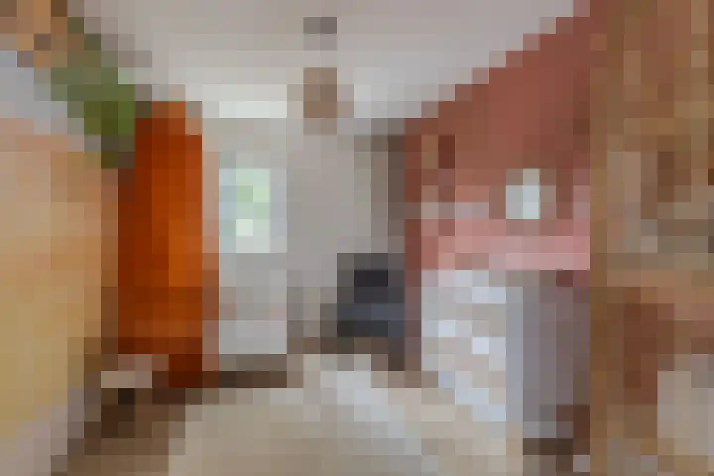 Fruittelerserf 18 Arnhem thumbnail 19