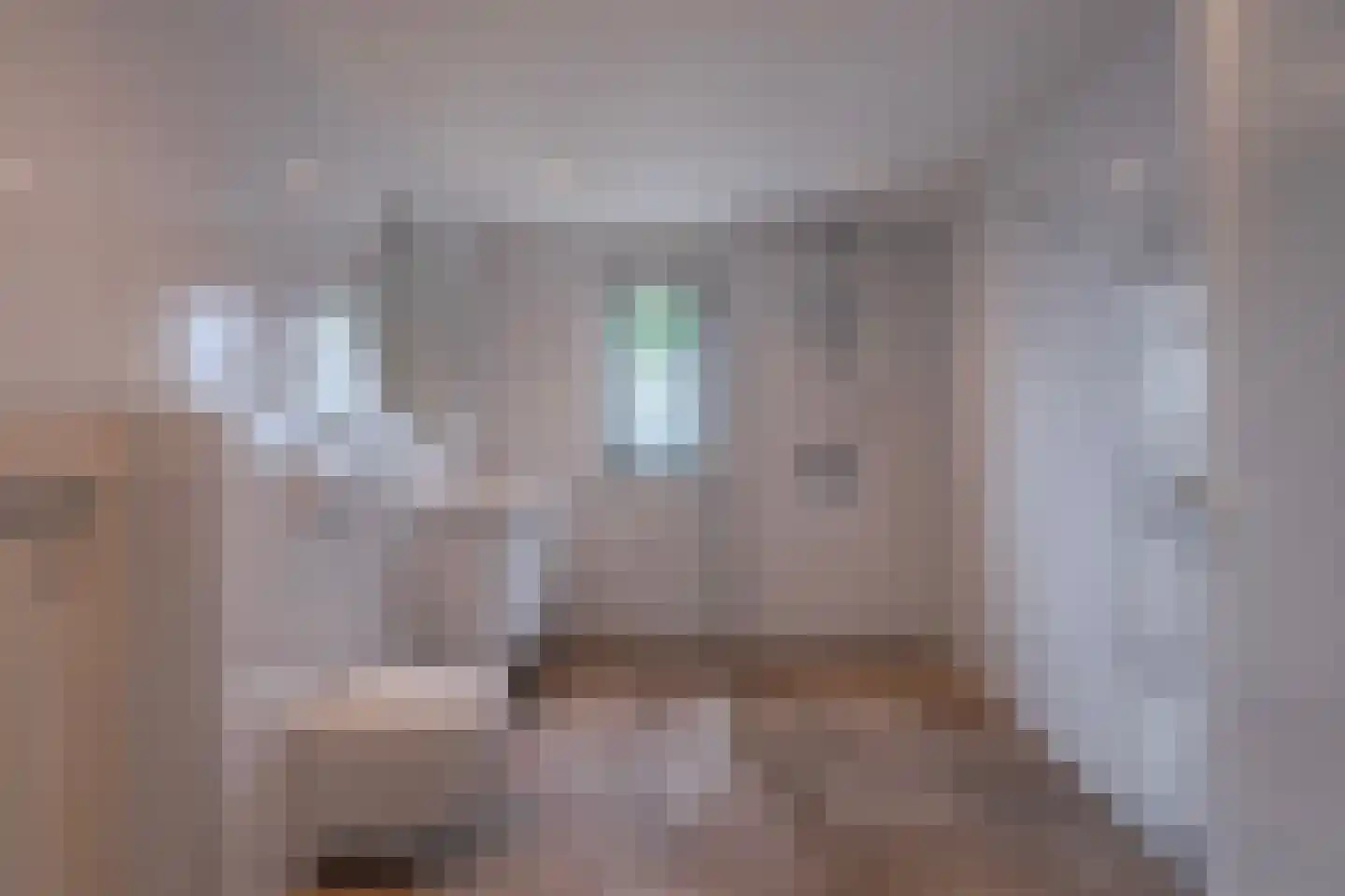 Fruittelerserf 18 Arnhem thumbnail 28