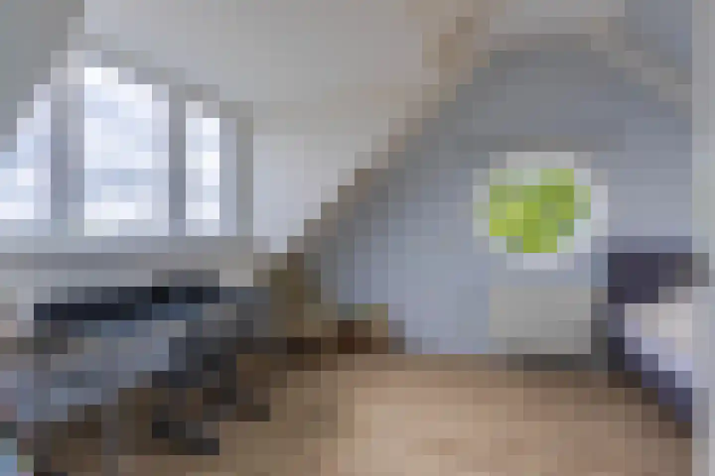 Fruittelerserf 18 Arnhem thumbnail 34