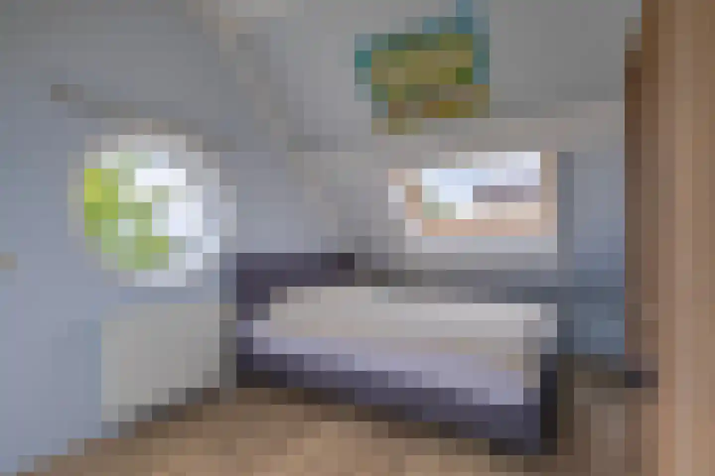 Fruittelerserf 18 Arnhem thumbnail 35