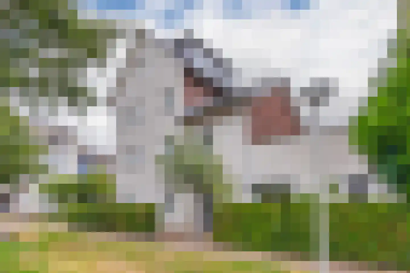 Fruittelerserf 18 Arnhem thumbnail 38