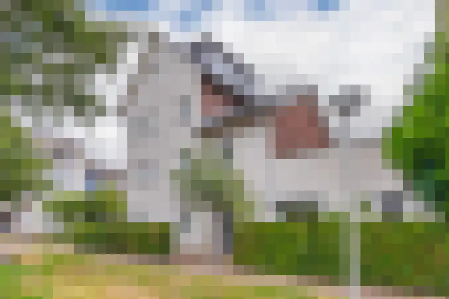 Fruittelerserf 18 Arnhem thumbnail 42