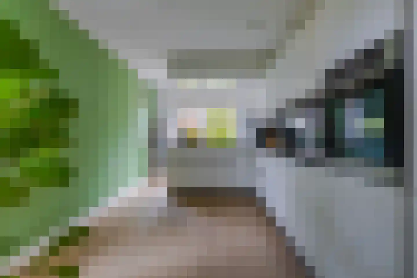 Fruittelerserf 18 Arnhem thumbnail 8