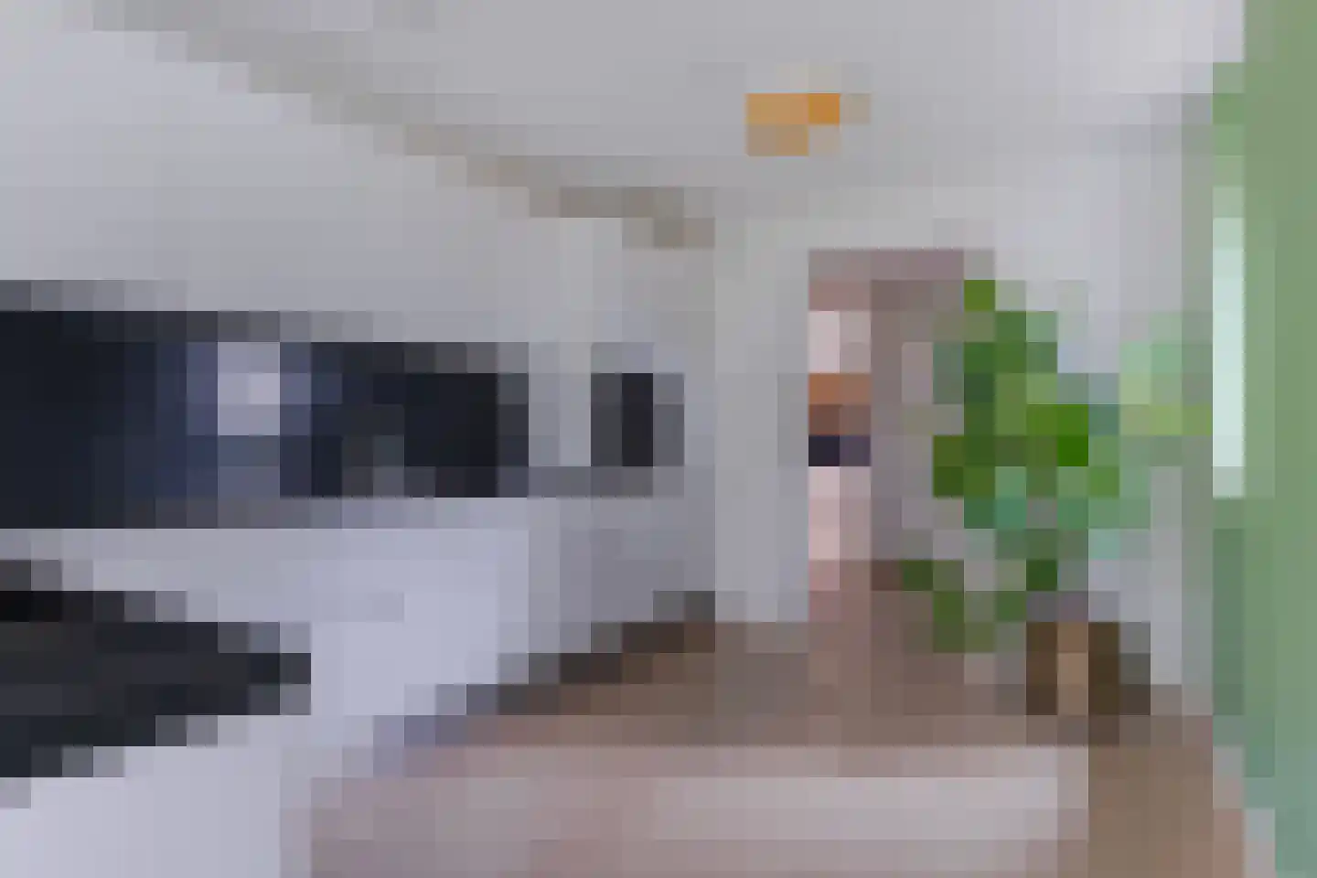 Fruittelerserf 18 Arnhem thumbnail 9
