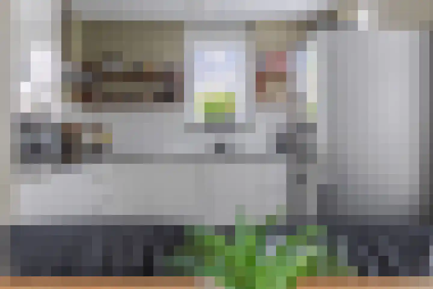 Fruittelerserf 41 Arnhem thumbnail 12