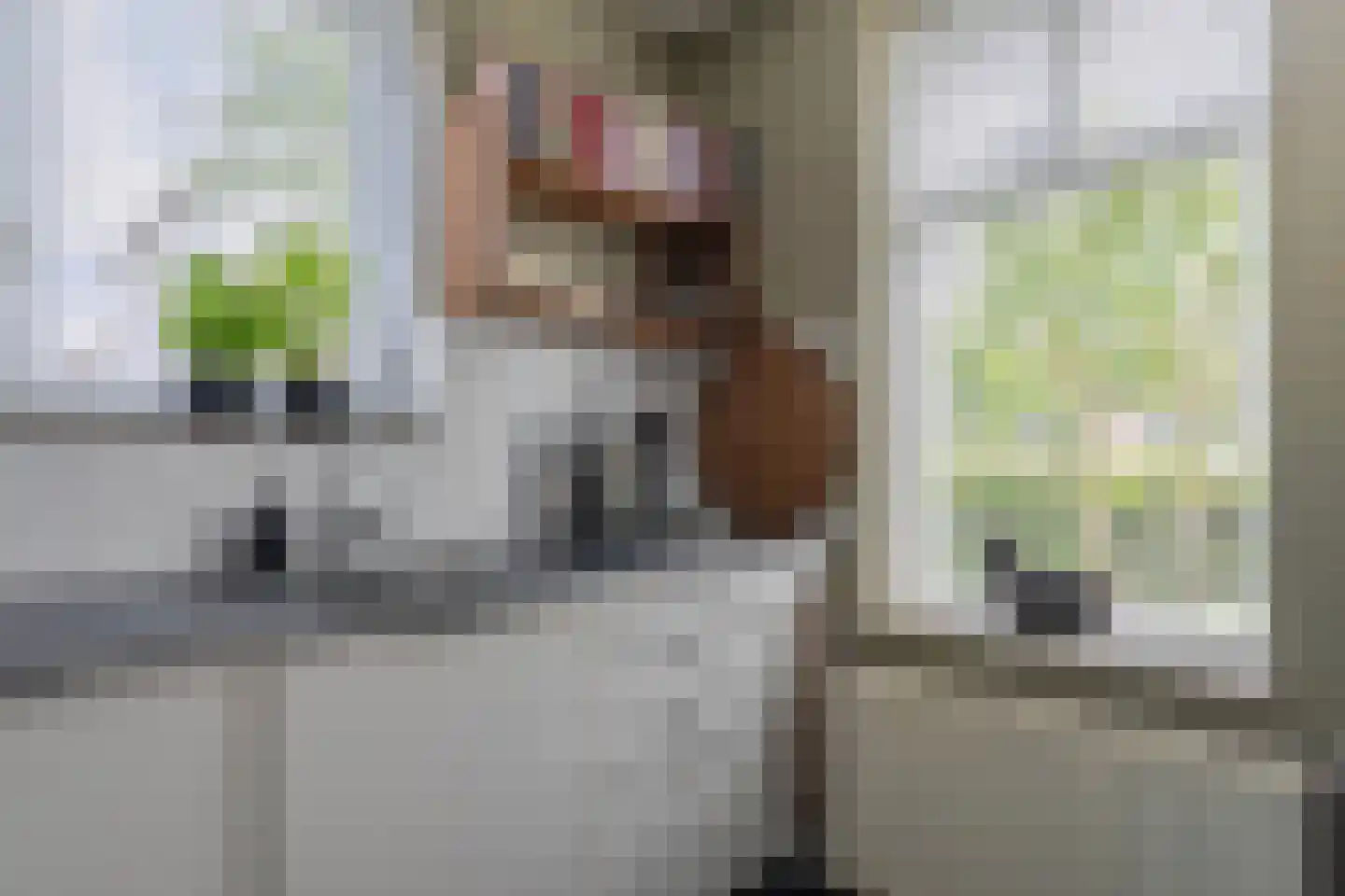 Fruittelerserf 41 Arnhem thumbnail 14