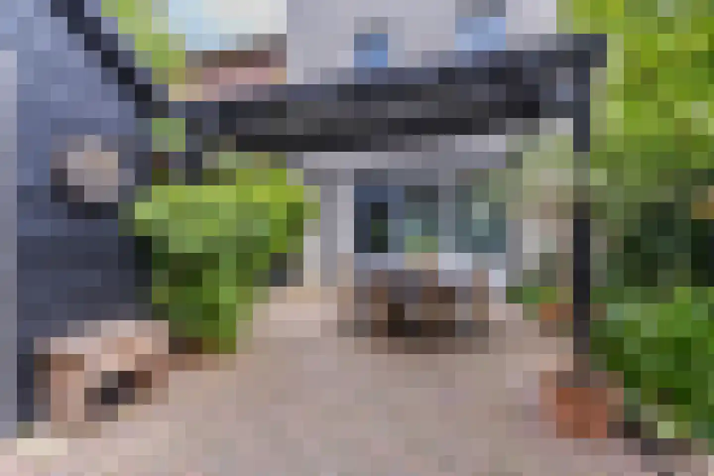 Fruittelerserf 41 Arnhem thumbnail 17