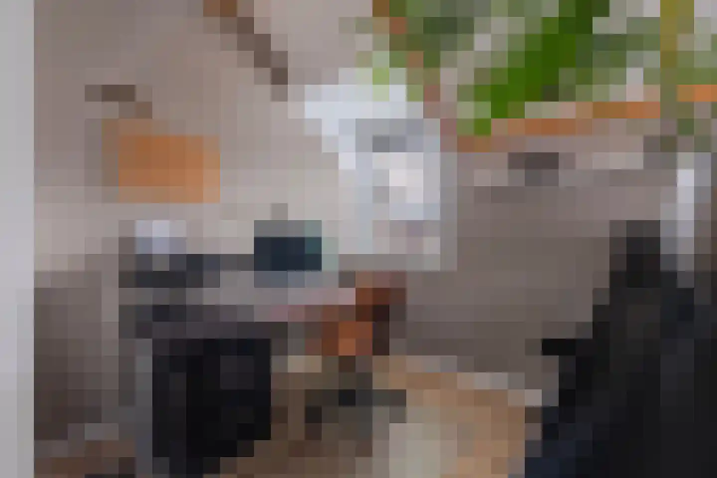 Fruittelerserf 41 Arnhem thumbnail 27
