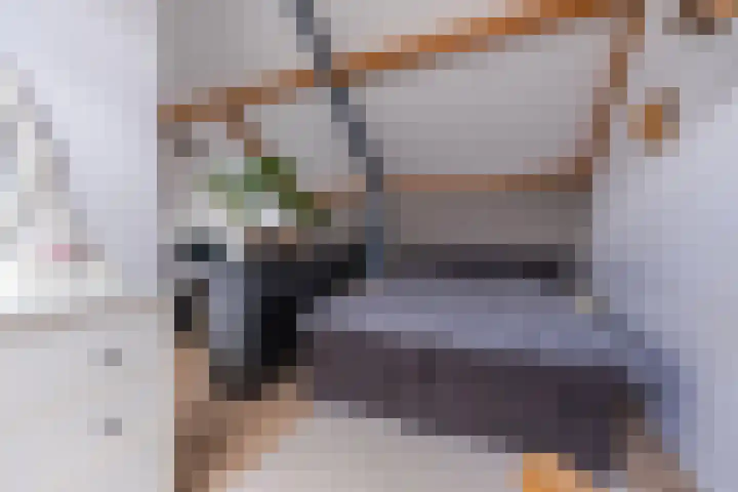 Fruittelerserf 41 Arnhem thumbnail 29