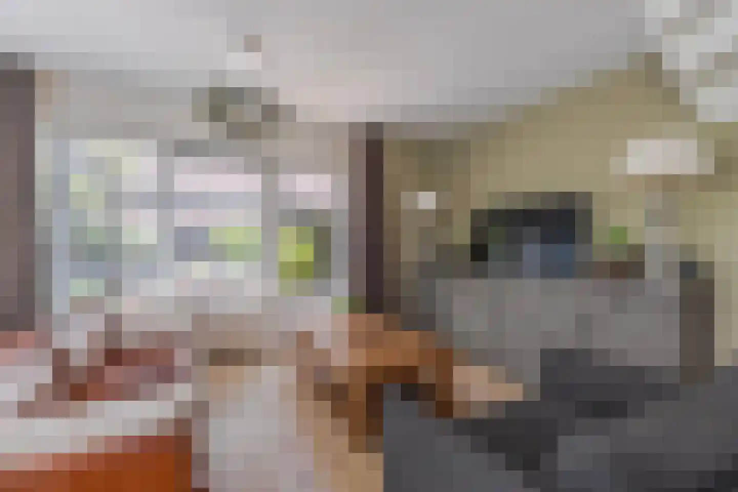 Fruittelerserf 41 Arnhem thumbnail 7