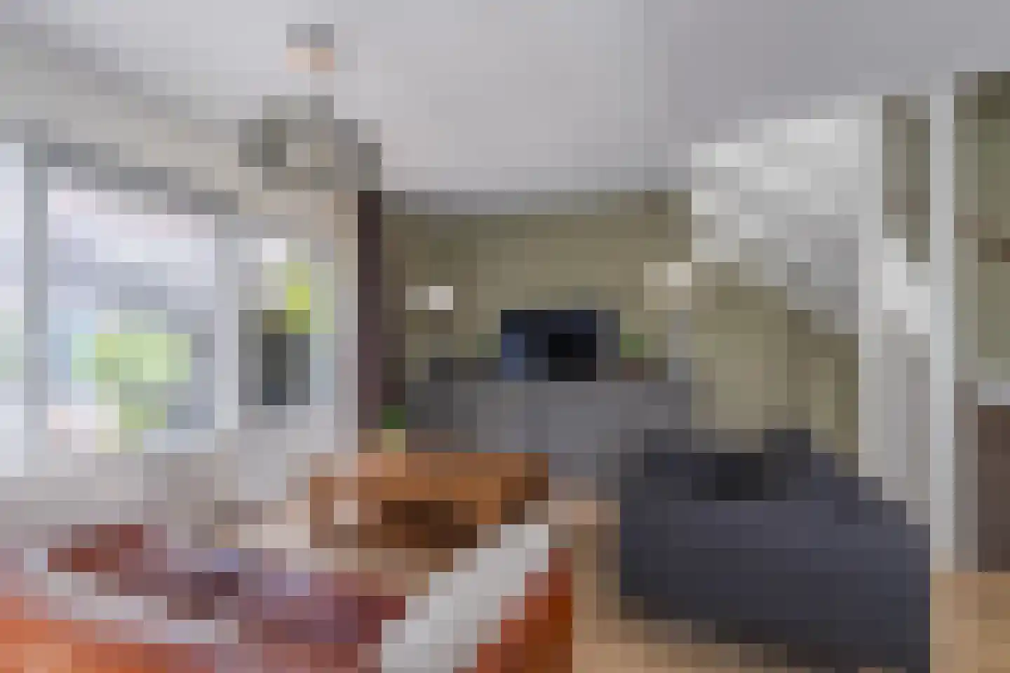 Fruittelerserf 41 Arnhem thumbnail 8